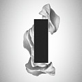 Gray Organon - Surreal Abstract Rectangle on Seashell